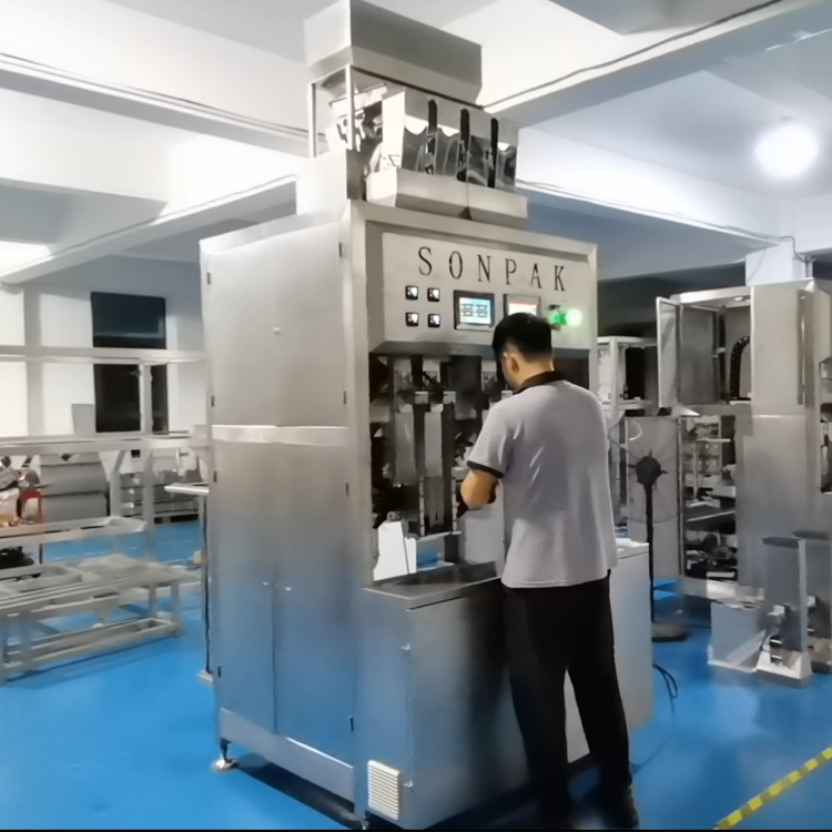 自動(dòng)給袋式真空包裝機(jī):常見問(wèn)題及解決策略 自動(dòng)給袋式真空包裝機(jī):常見問(wèn)題及解決策略